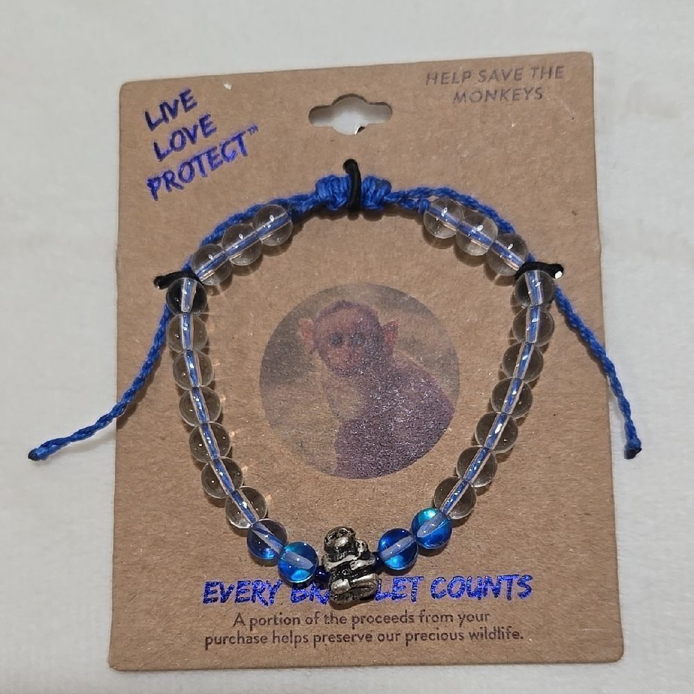 Blue and Clear Beaded Bracelet
